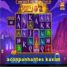 aconpanhantes xaxim